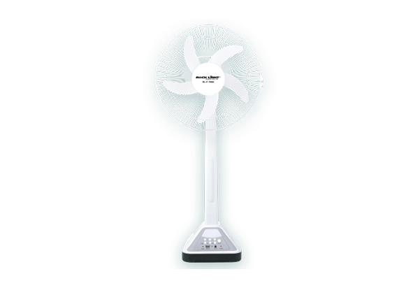 Fan (1)